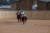 Oxford Polo 2022_12_11 0004